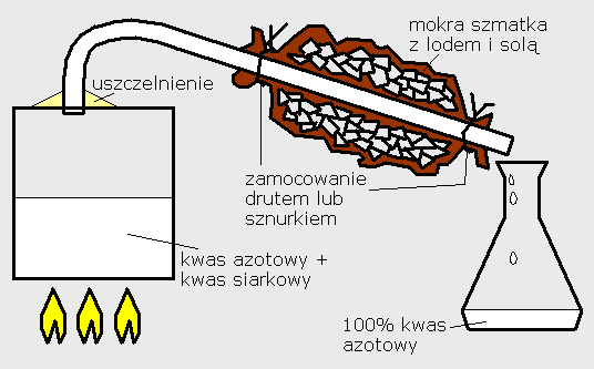 prymitywne_hno3.png